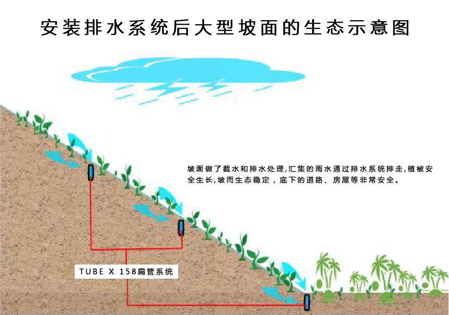 生态护坡安装排水系统后.jpg