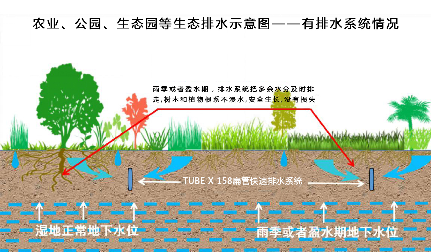 农业、公园、生态园等生态排水示意图——有排水系统情况.jpg